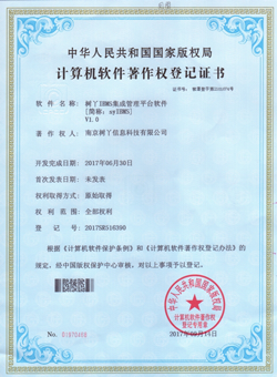 南京树丫信息科技有限公司